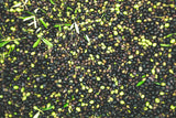Argento — Olio extravergine d'oliva biologico